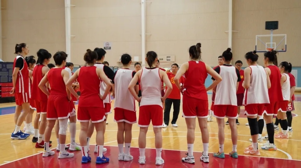 质疑, 执行失误和 质疑, 执行失误和