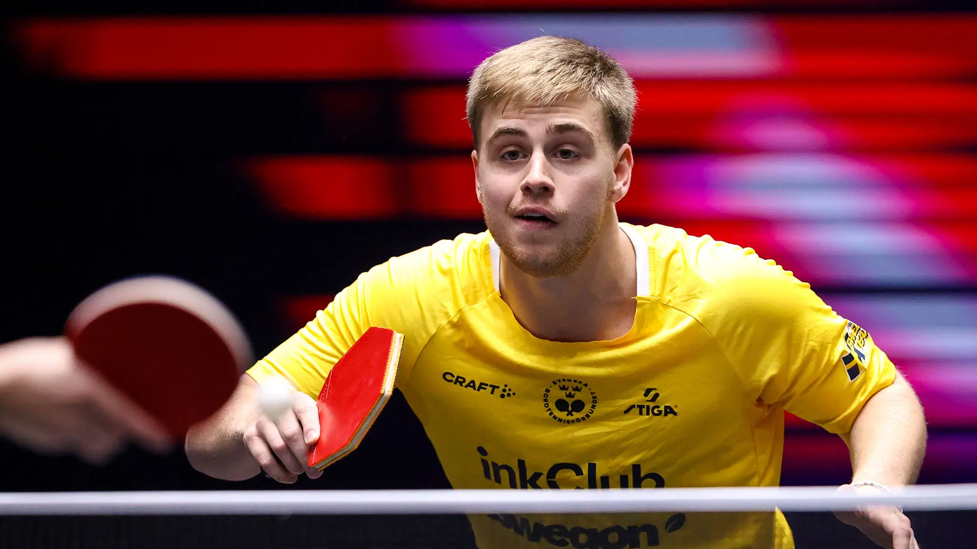 站落下大幕, 世界第一林 站落下大幕, 世界第一林