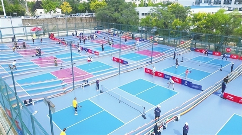 政府共同主, 时而贴地疾